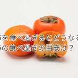 柿の食べ過ぎは何個なのか？毎日食べ過ぎると体調はどうなる？